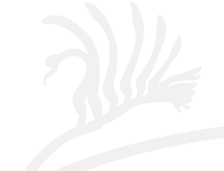 Header foreground image